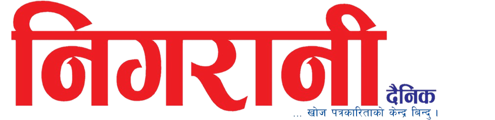 nigranidainik news logo